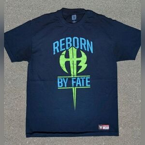 Vtg 2017 WWE Authentic The Hardy Boyz Reborn By Fate T-Shirt Size (L)